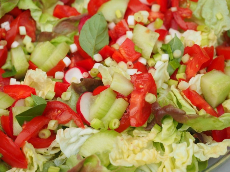 salade-concombres-tomates